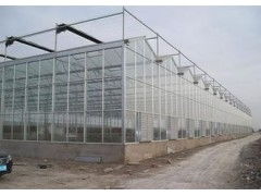 温室大棚建设 为营口农业注入新模式，实现育苗、花卉与蔬菜的高效生产