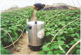 淮安市瑞特生物科技温室大棚产品列表 高效育苗大棚解决方案