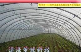 一站式获取大棚材料供应与批发价格，助力育苗大棚高效建设