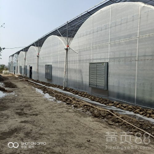 镇江育苗温室建造全攻略 从材料选择到高效管理