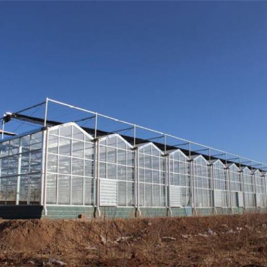 阳光板温室大棚 现代农业育苗的理想选择——以潍坊建造为例