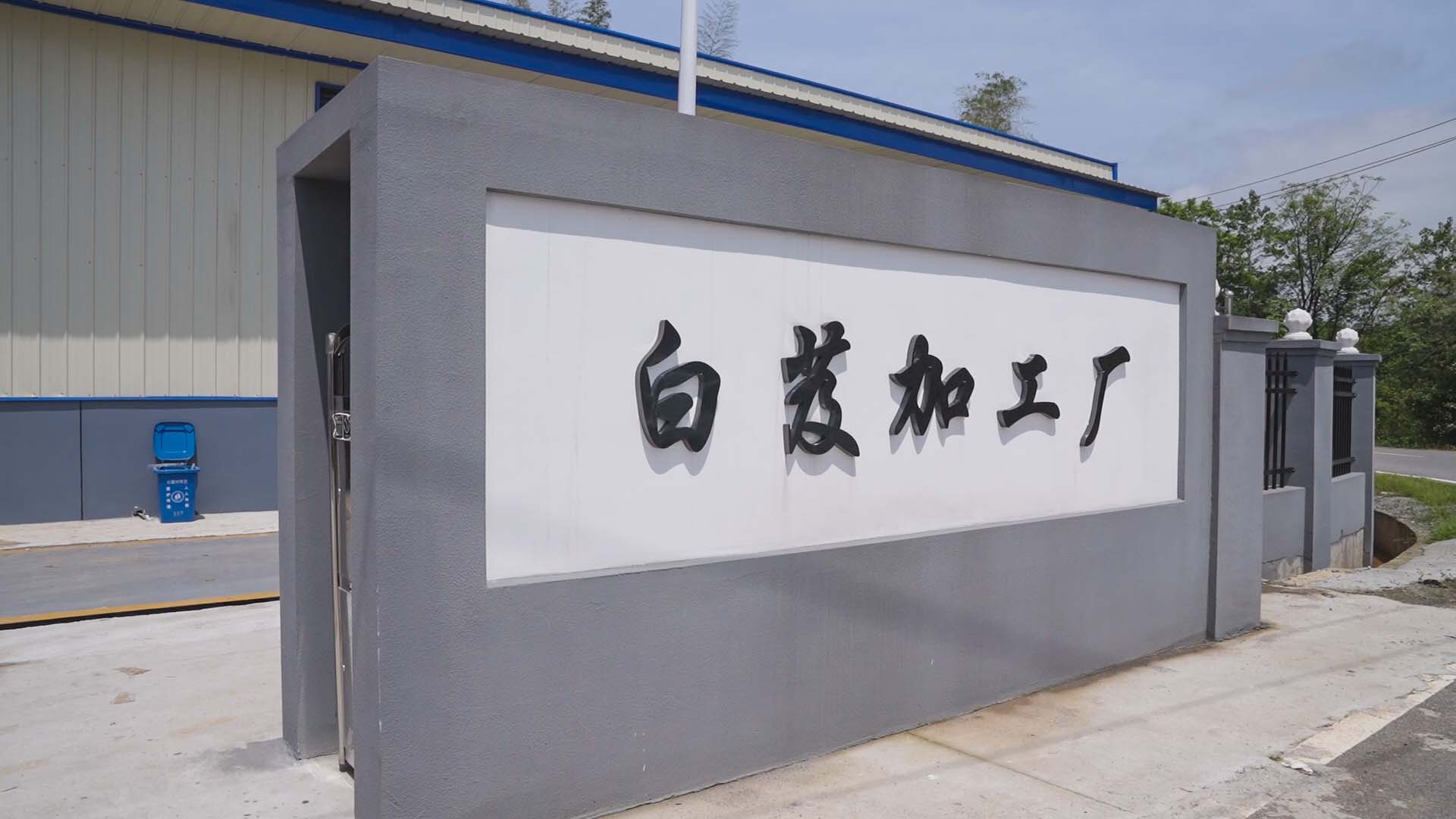 育苗大棚助力现代农业发展，为春耕生产保驾护航