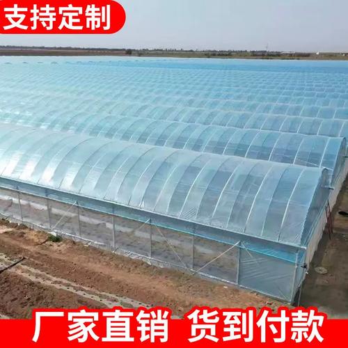 温室大棚骨架养殖蔬菜育苗防寒大棚钢管支架配件大全塑料大棚施工